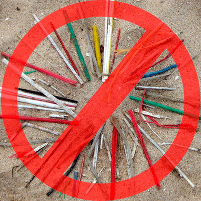 St Petersburg bans plastic straws and styrofoam